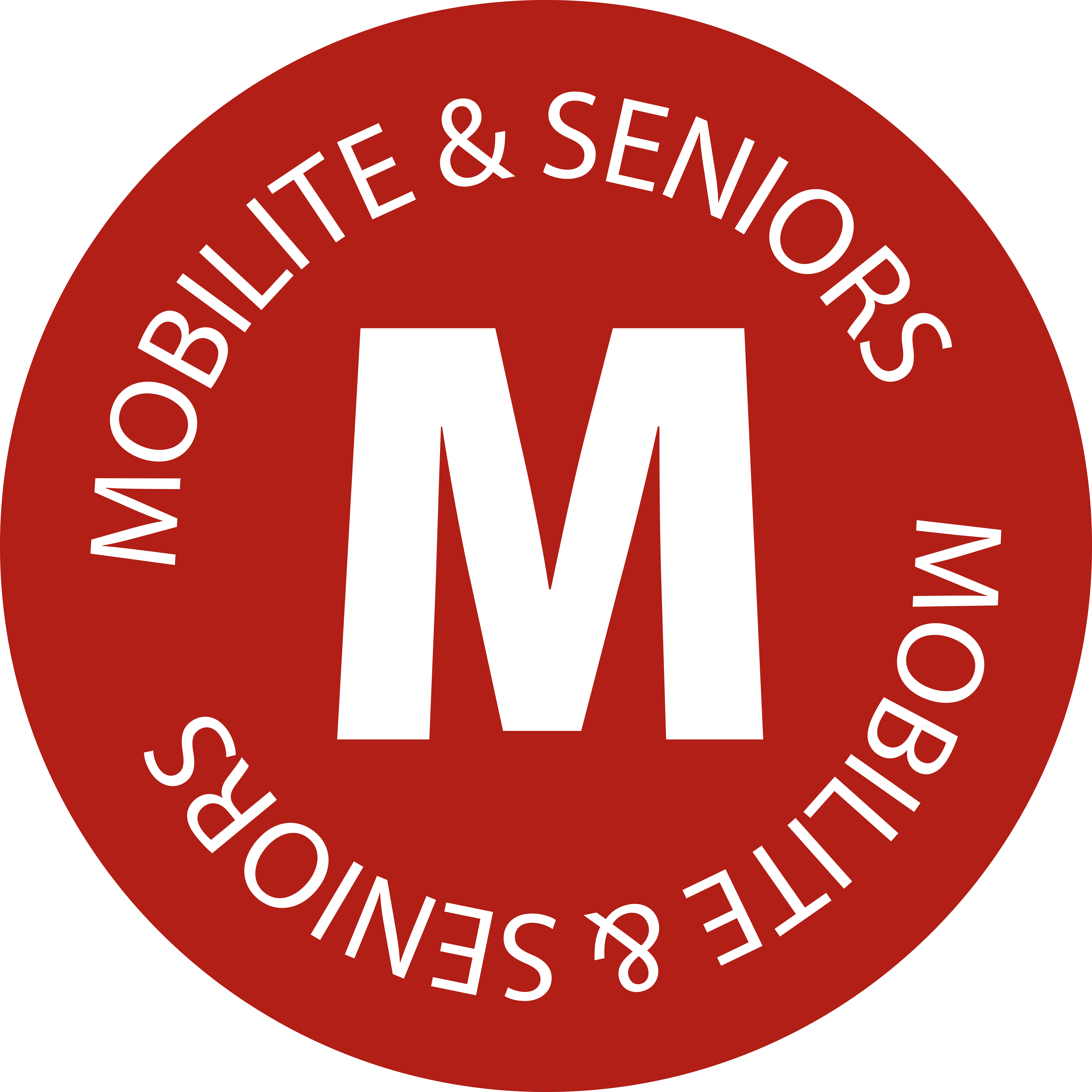 Mobilité & Seniors category image